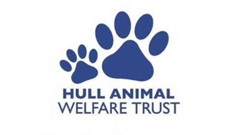 hull animal welfare trust 768x432