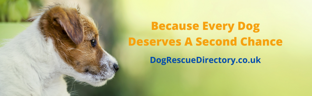 Dog Rescue Directory FREE Listings For All UK Dog Rescue