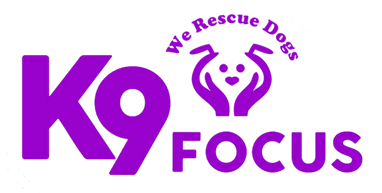 K9focus Logo 768x389