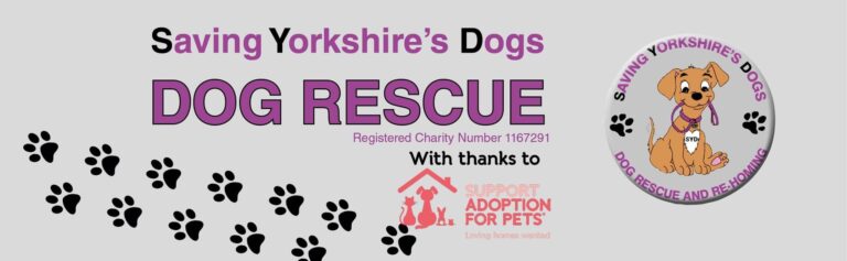 C0DB48E3 6D52 4DE0 8D43 7BE4951ADD6B 768x237