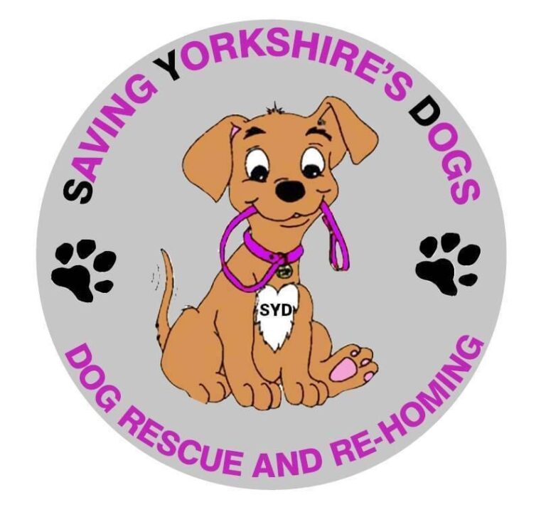 E640B3E8 B564 44C1 87A7 629318FACEE0 768x727