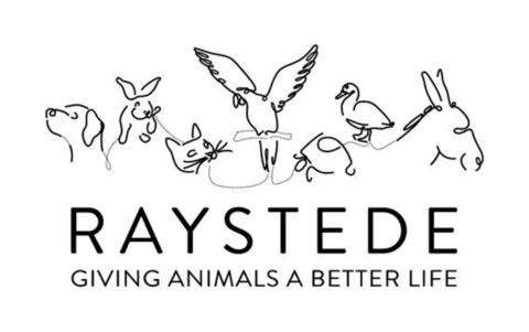 Raystede Centre for Animal Welfare - East Sussex - Dog Rescue Directory