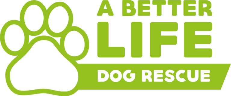 A Better Life Dogs 768x319