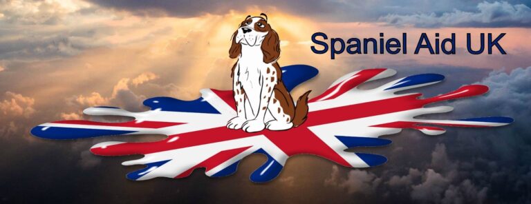 spaniel aid 768x296