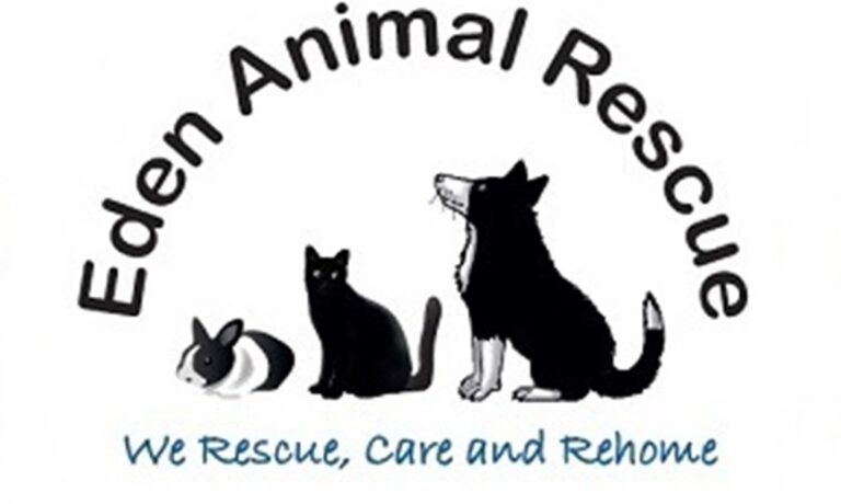 Dog Rescue Centres Archives - Dog Rescue Directory