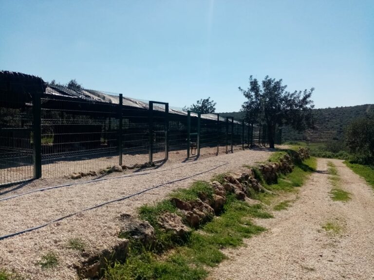 159769800 1145460002576217 907738971158045571 n 768x576