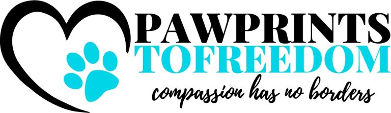 Pawprints To Freedom