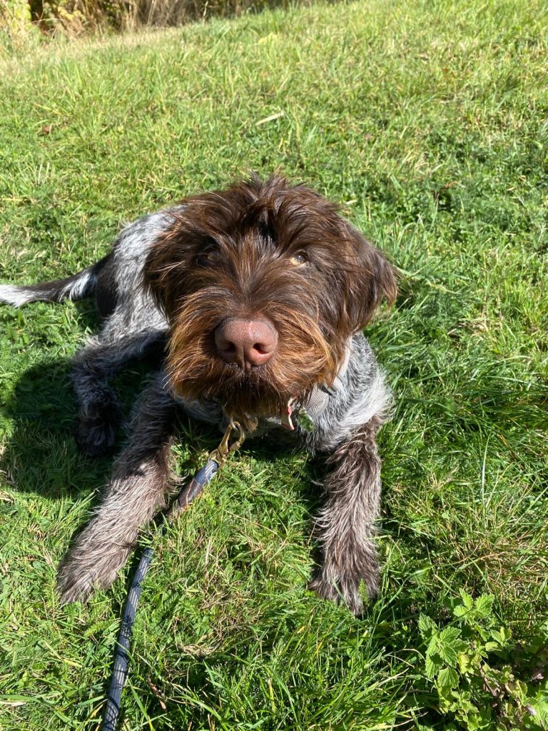 90fb42d5 ab0b 4665 83d8 acbca2a9e9a0 768x1024