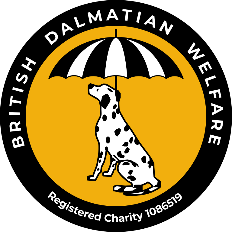 British Dalmatian Welfare