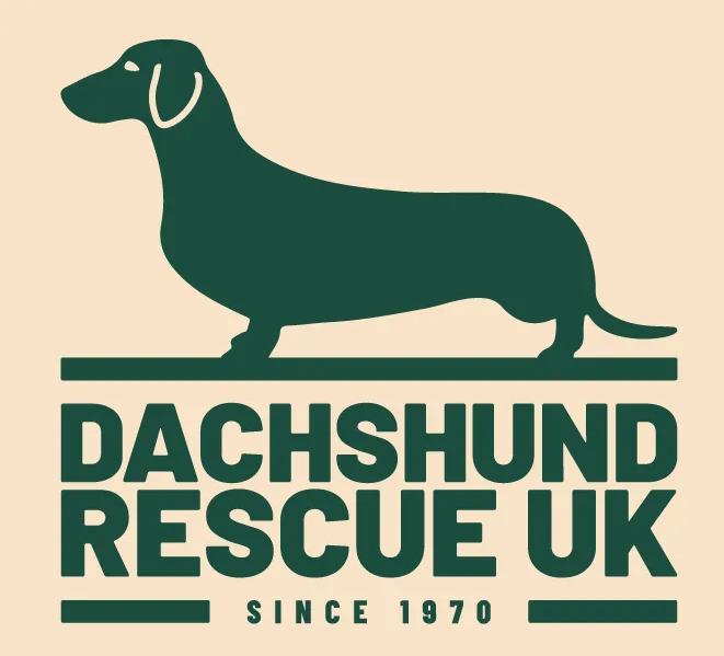 Dachshund Rescue UK