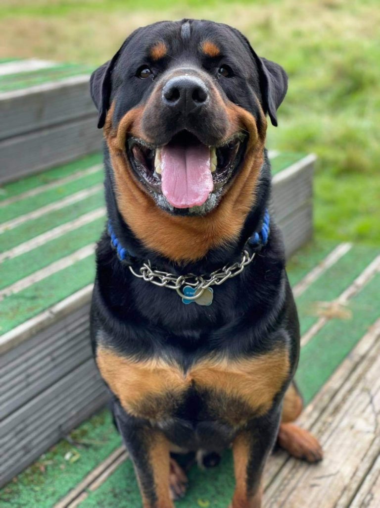 FB IMG 1628414378732 768x1026