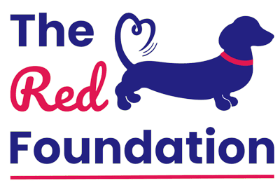 The Red Foundation Dachshund Rescue