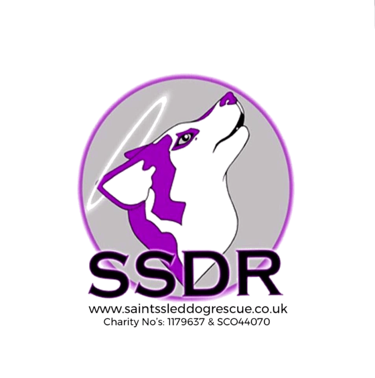 Saints Sled Dog Rescue - Alaskan Malamute & Siberian Husky Dog Rescue UK