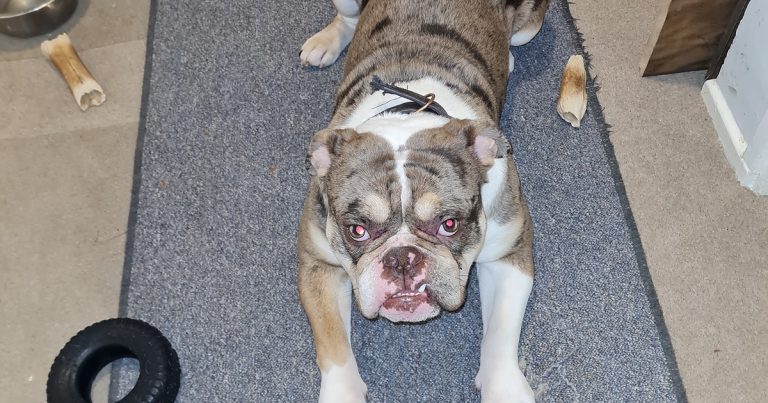 20260318 131545 fb landscape 1200 630 768x403