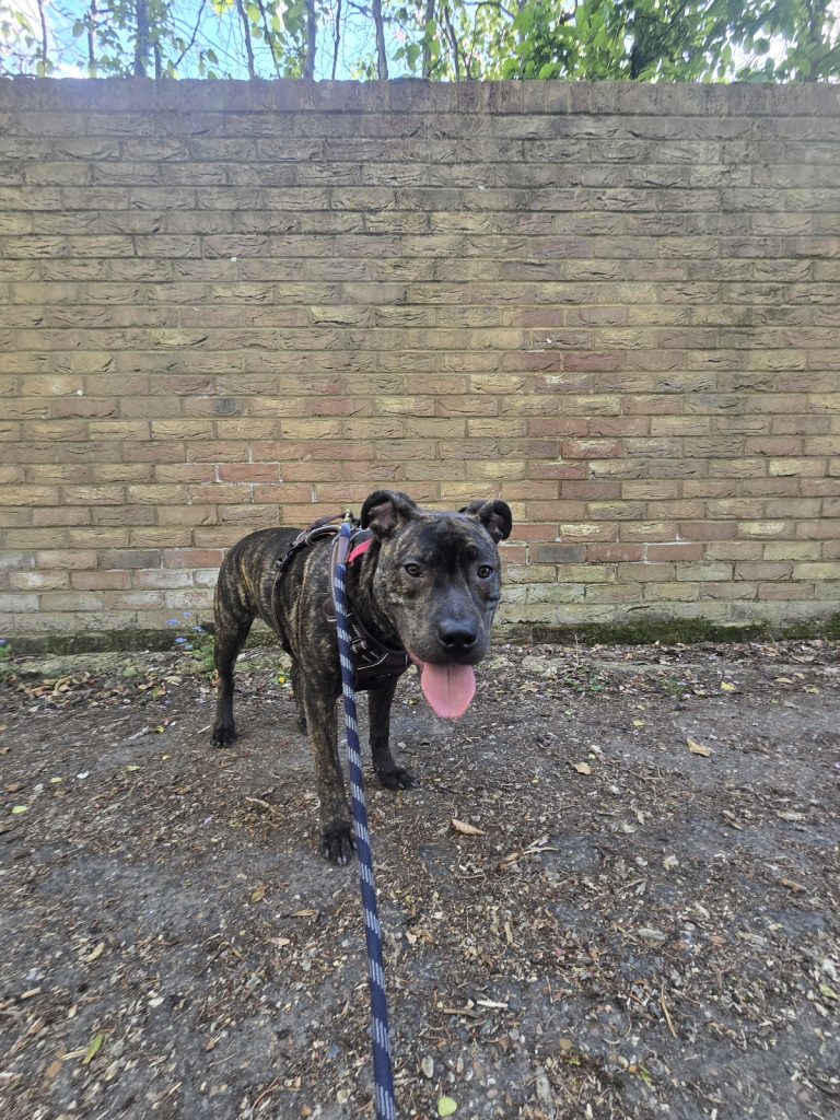 20260418 17190001 768x1024