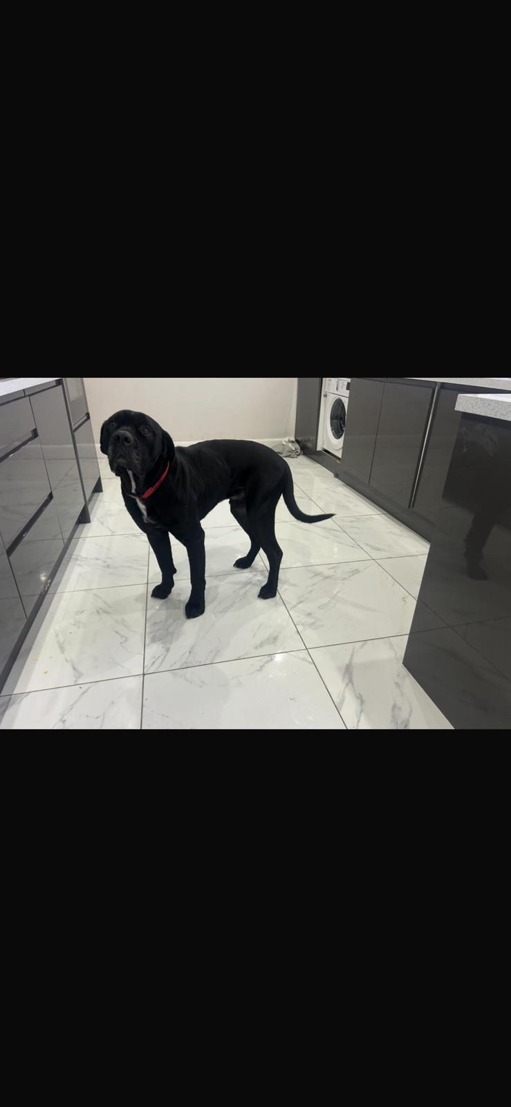 5e9c05fe 235b 4220 bf56 8e3ce58e242a