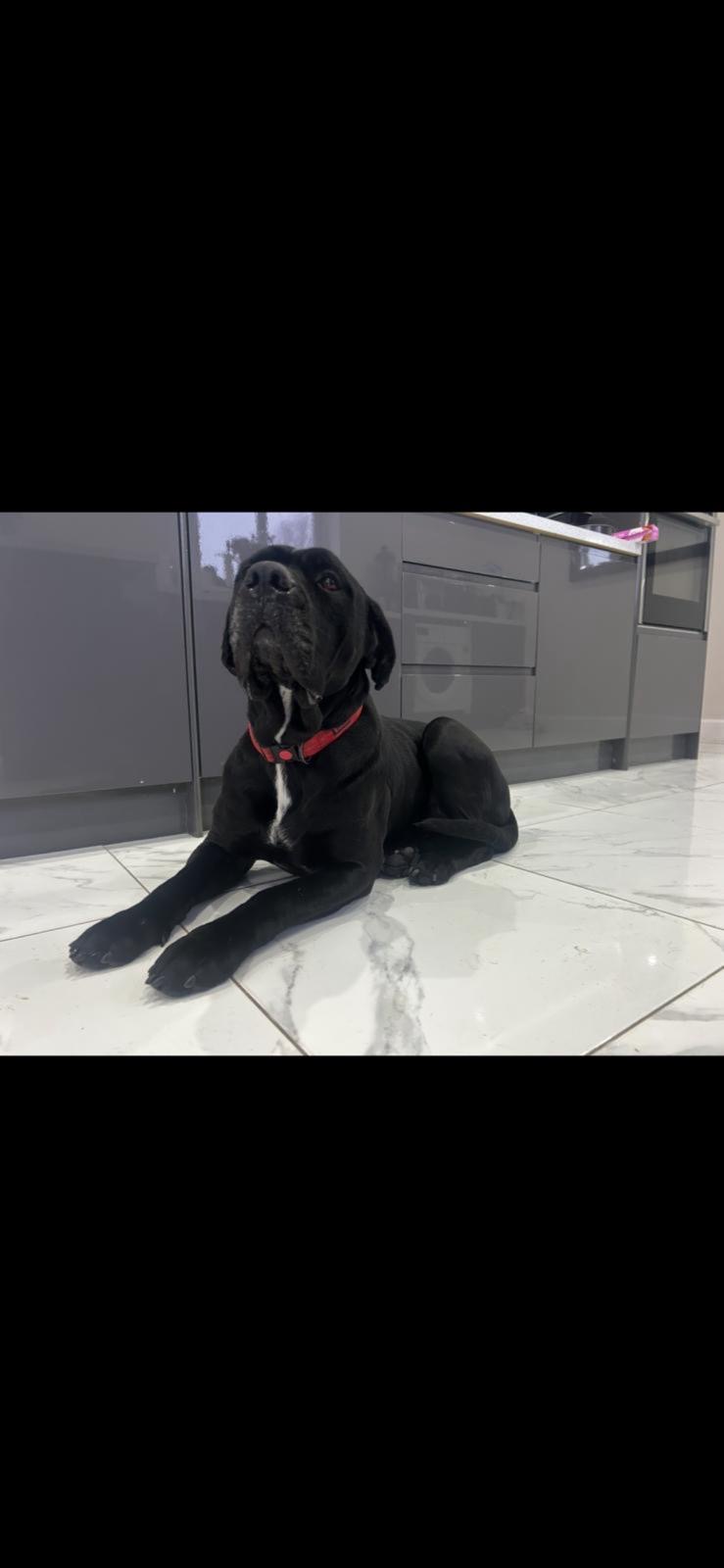 8ee10c2d 4ace 4534 a0d3 cdaed4c52cf2