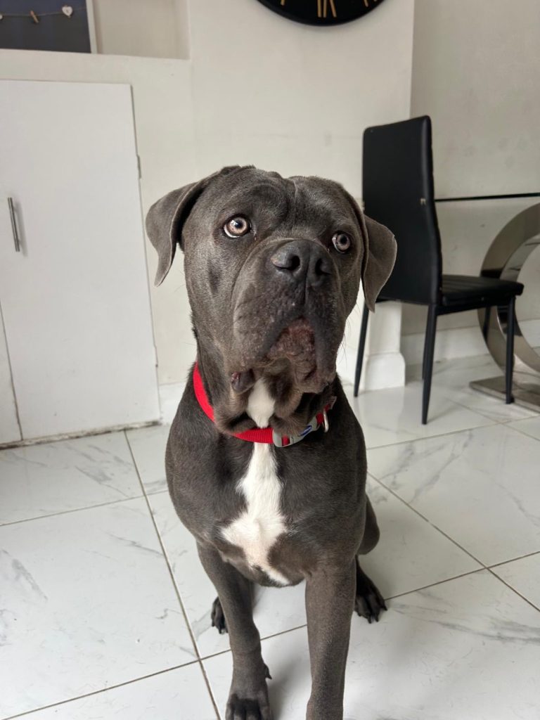 e93d42b5 31e8 4864 a073 ae7fcdb7f158 768x1024