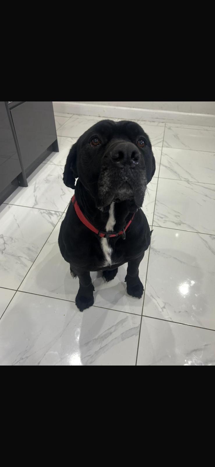 ecf013eb d93b 4b2e 8bc1 714425a86162